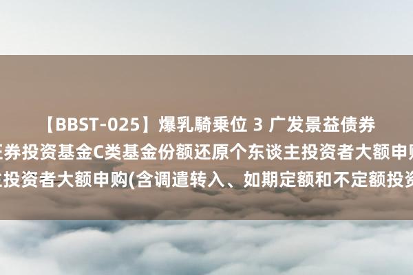 【BBST-025】爆乳騎乗位 3 广发景益债券C: 对于广发景益债券型证券投资基金C类基金份额还原个东谈主投资者大额申购(含调遣转入、如期定额和不定额投资)业务的公告