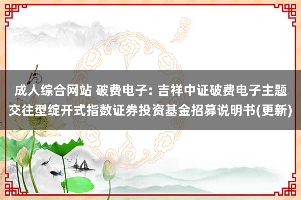 成人综合网站 破费电子: 吉祥中证破费电子主题交往型绽开式指数证券投资基金招募说明书(更新)