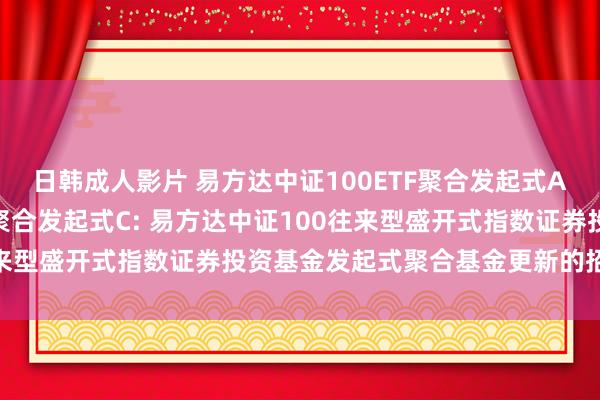 日韩成人影片 易方达中证100ETF聚合发起式A，易方达中证100ETF聚合发起式C: 易方达中证100往来型盛开式指数证券投资基金发起式聚合基金更新的招募证明书