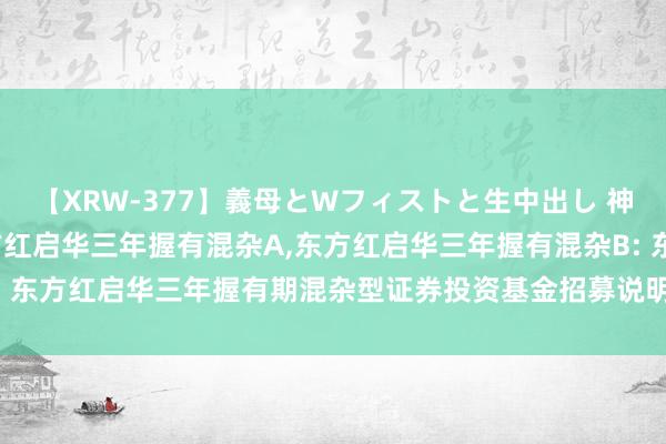 【XRW-377】義母とWフィストと生中出し 神崎まゆみ 桃宮もも 东方红启华三年握有混杂A，东方红启华三年握有混杂B: 东方红启华三年握有期混杂型证券投资基金招募说明书(更新)(2024年第2号)