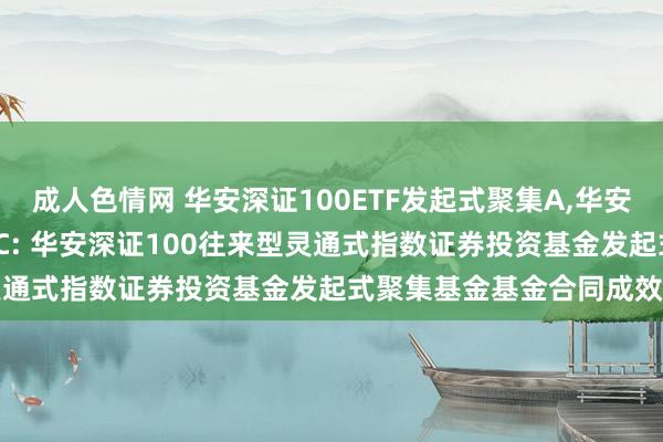 成人色情网 华安深证100ETF发起式聚集A，华安深证100ETF发起式聚集C: 华安深证100往来型灵通式指数证券投资基金发起式聚集基金基金合同成效公告