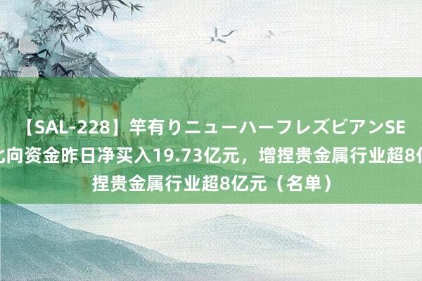 【SAL-228】竿有りニューハーフレズビアンSEX1125分 北向资金昨日净买入19.73亿元，增捏贵金属行业超8亿元（名单）