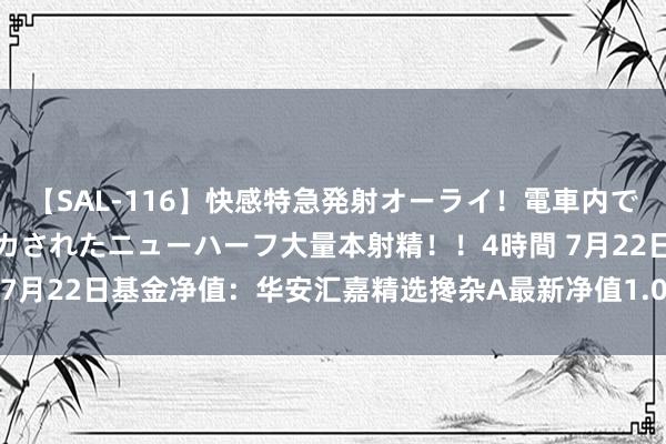 【SAL-116】快感特急発射オーライ！電車内で痴漢集団に気持ちよくイカされたニューハーフ大量本射精！！4時間 7月22日基金净值：华安汇嘉精选搀杂A最新净值1.0161，跌0.29%