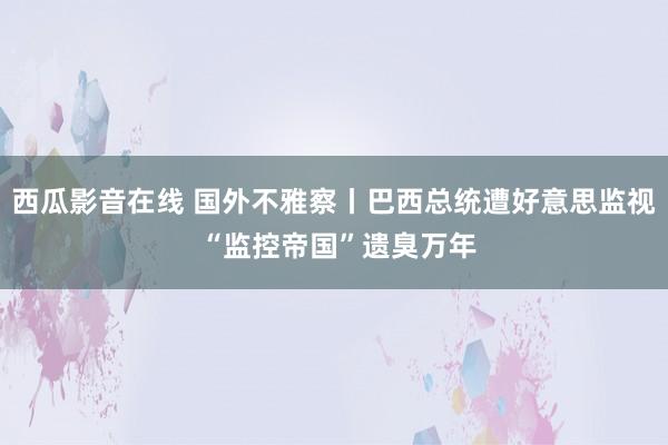 西瓜影音在线 国外不雅察丨巴西总统遭好意思监视 “监控帝国”遗臭万年