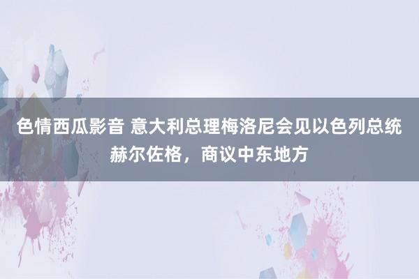 色情西瓜影音 意大利总理梅洛尼会见以色列总统赫尔佐格，商议中东地方