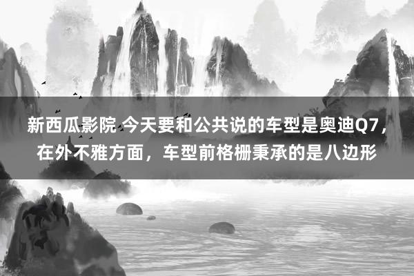 新西瓜影院 今天要和公共说的车型是奥迪Q7，在外不雅方面，车型前格栅秉承的是八边形