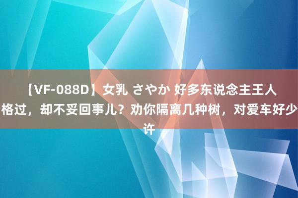 【VF-088D】女乳 さやか 好多东说念主王人资格过，却不妥回事儿？劝你隔离几种树，对爱车好少许