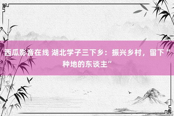 西瓜影音在线 湖北学子三下乡：振兴乡村，留下“种地的东谈主”