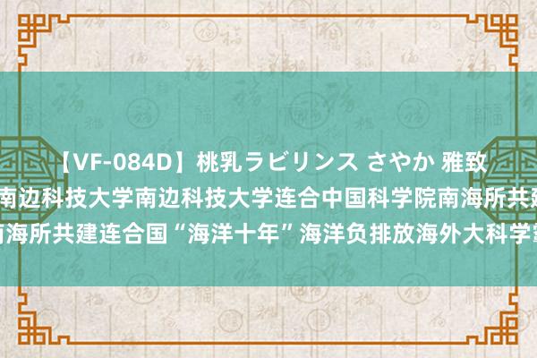 【VF-084D】桃乳ラビリンス さやか 雅致揭牌！焦念志院士致辞！南边科技大学南边科技大学连合中国科学院南海所共建连合国“海洋十年”海洋负排放海外大科学霸术实习施行基地