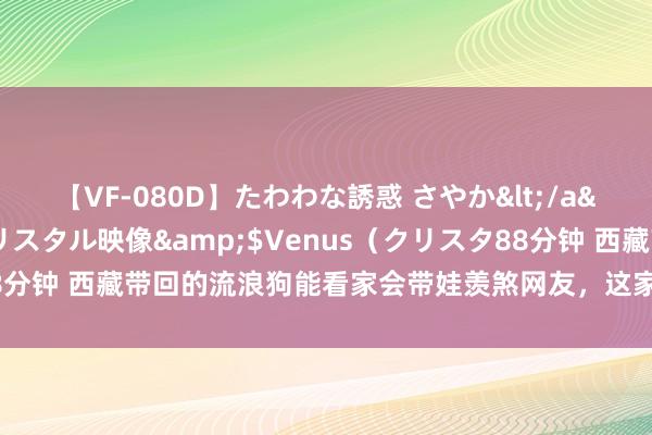 【VF-080D】たわわな誘惑 さやか</a>2005-08-27クリスタル映像&$Venus（クリスタ88分钟 西藏带回的流浪狗能看家会带娃羡煞网友，这家东说念主大喊捡到宝