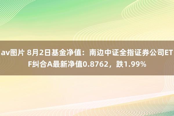 av图片 8月2日基金净值：南边中证全指证券公司ETF纠合A最新净值0.8762，跌1.99%