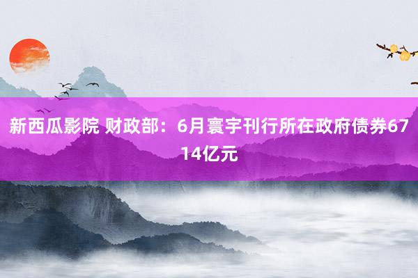 新西瓜影院 财政部：6月寰宇刊行所在政府债券6714亿元