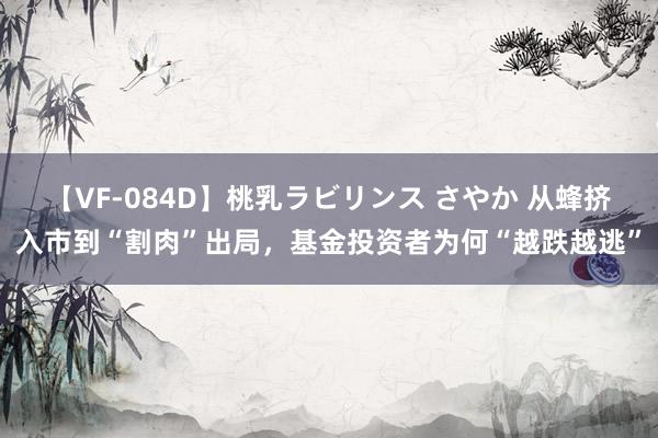 【VF-084D】桃乳ラビリンス さやか 从蜂挤入市到“割肉”出局，基金投资者为何“越跌越逃”