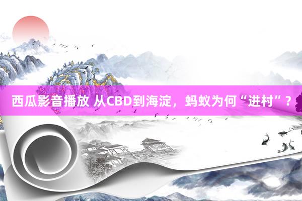 西瓜影音播放 从CBD到海淀，蚂蚁为何“进村”？