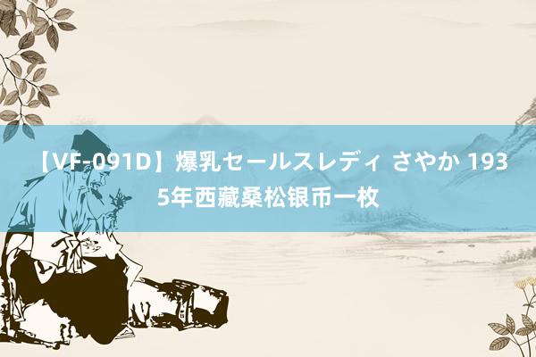 【VF-091D】爆乳セールスレディ さやか 1935年西藏桑松银币一枚