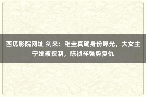 西瓜影院网址 剑来：稚圭真确身份曝光，大女主宁姚被挟制，陈祯祥强势复仇