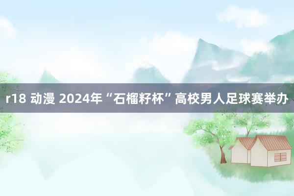 r18 动漫 2024年“石榴籽杯”高校男人足球赛举办