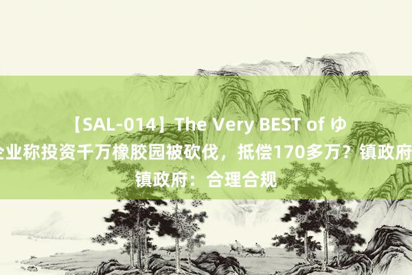 【SAL-014】The Very BEST of ゆか 海南一企业称投资千万橡胶园被砍伐，抵偿170多万？镇政府：合理合规