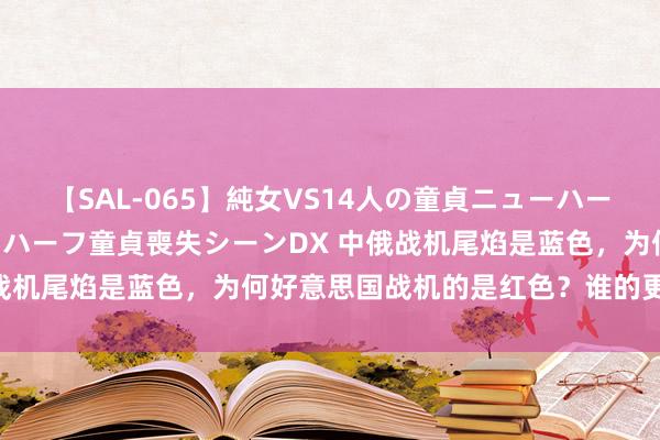 【SAL-065】純女VS14人の童貞ニューハーフ 二度と見れないニューハーフ童貞喪失シーンDX 中俄战机尾焰是蓝色，为何好意思国战机的是红色？谁的更历害？