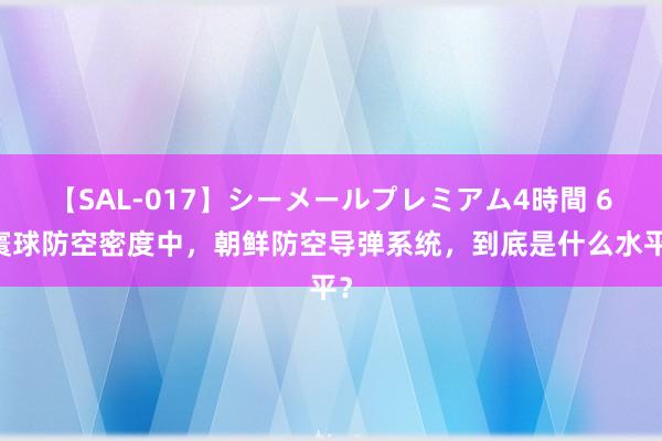 【SAL-017】シーメールプレミアム4時間 6 寰球防空密度中，朝鲜防空导弹系统，到底是什么水平？