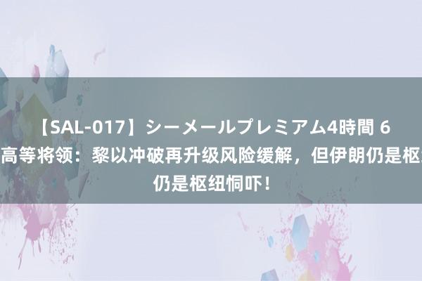 【SAL-017】シーメールプレミアム4時間 6 好意思高等将领：黎以冲破再升级风险缓解，但伊朗仍是枢纽恫吓！