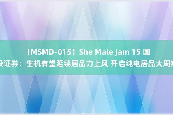 【MSMD-015】She Male Jam 15 国投证券：生机有望延续居品力上风 开启纯电居品大周期