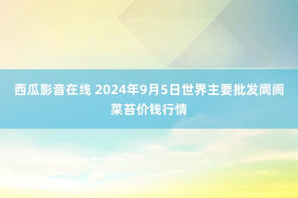 西瓜影音在线 2024年9月5日世界主要批发阛阓菜苔价钱行情