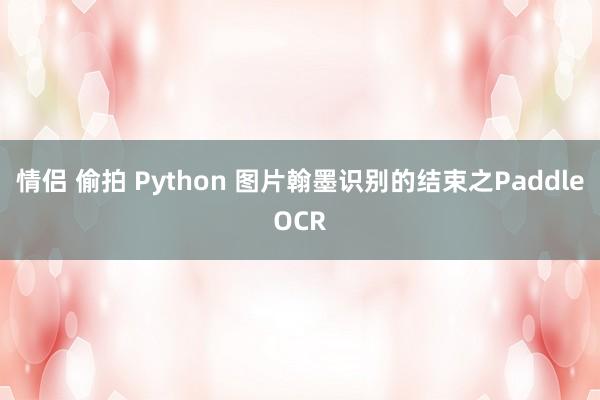 情侣 偷拍 Python 图片翰墨识别的结束之PaddleOCR