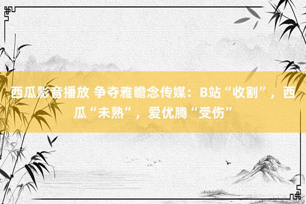 西瓜影音播放 争夺雅瞻念传媒：B站“收割”，西瓜“未熟”，爱优腾“受伤”