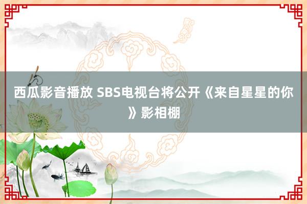 西瓜影音播放 SBS电视台将公开《来自星星的你》影相棚